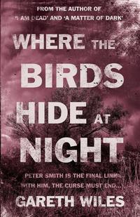 Gareth Wiles - «Where the Birds Hide at Night»