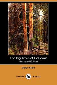 Galen Clark - «The Big Trees of California (Illustrated Edition) (Dodo Press)»
