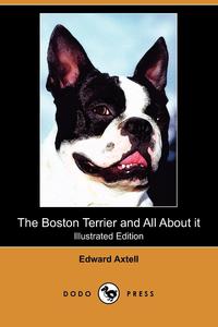 The Boston Terrier and All about It