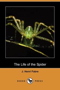 Jean-Henri Fabre - «The Life of the Spider (Dodo Press)»