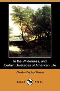 In the Wilderness, and Certain Diversities of American Life