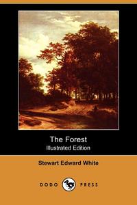 Stewart Edward White - «The Forest (Illustrated Edition) (Dodo Press)»