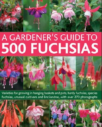 Gardeners Guide to 500 Fuchsias
