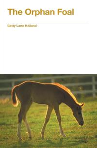 Betty Lane Holland - «The Orphan Foal»