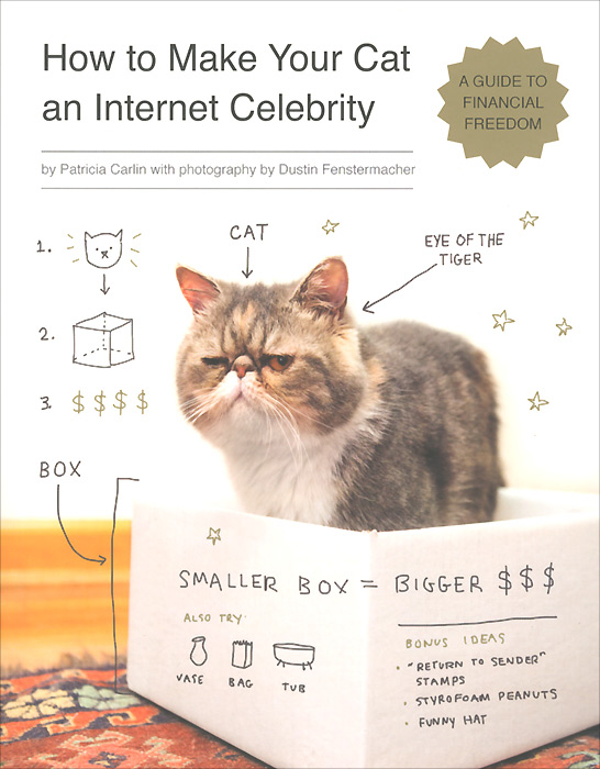 How to Make Your Cat an Internet Celebrity