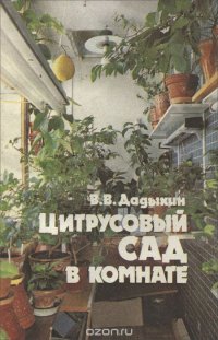 В. В. Дадыкин - «Цитрусовый сад в комнате»