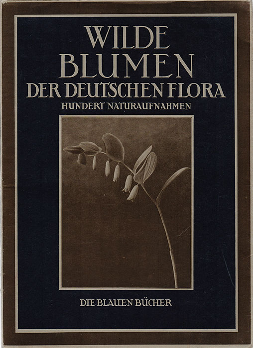 Wilde Blumen der Deutschen Flora