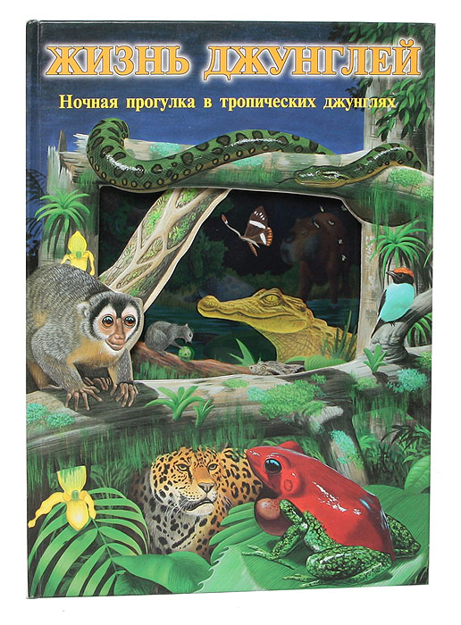 Питер Райли - «Жизнь джунглей. Ночная прогулка в тропических джунглях»