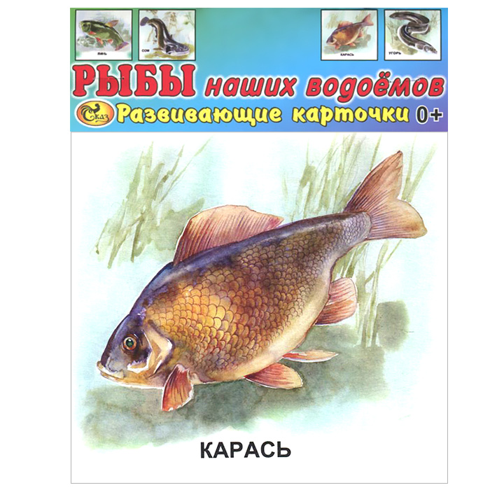  - «Рыбы наших водоемов (набор из 14 карточек)»