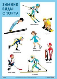  - «Зимние виды спорта. Плакат»