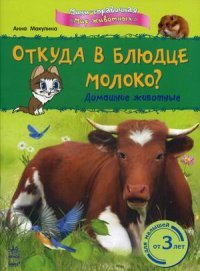 Анна Макулина - «Откуда в блюдце молоко? Домашние животные»