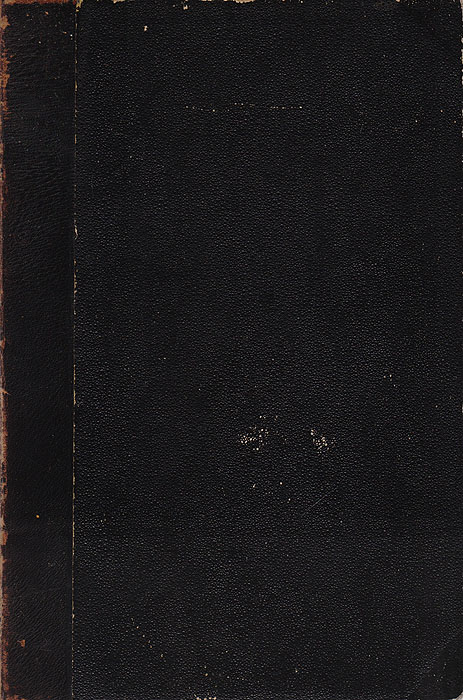 Ф. М. Достовский - «Ф. М. Достовский. Дневник писателя за 1873 год»