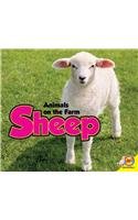 Megan Kopp - «Sheep (Animals on the Farm)»