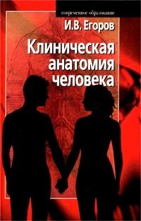 И. В. Егоров - «Клиническая анатомия человека»
