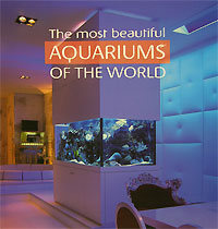 The Most Beautiful Aquariums of the World
