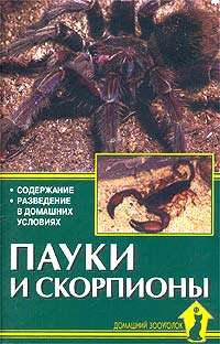 А. Е. Чегодаев - «Пауки и скорпионы»
