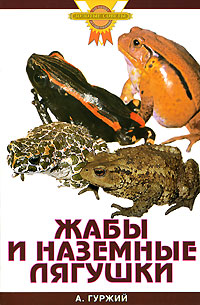 А. Н. Гуржий - «Жабы и наземные лягушки»