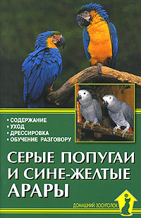 Серые попугаи и сине-желтые арары