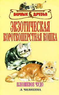 Л. Чиликина - «Экзотическая короткошерстная кошка»