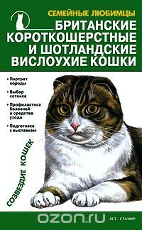 Наташа Крылова - «Британские короткошерстные и шотландские вислоухие кошки»
