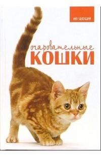 К. Принс - «Очаровательные кошки»