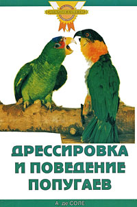 Дрессировка и поведение попугаев