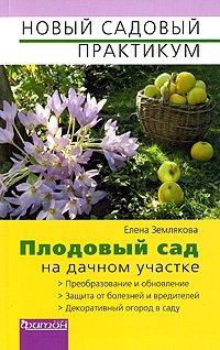 Елена Землякова - «Плодовый сад на дачном участке»