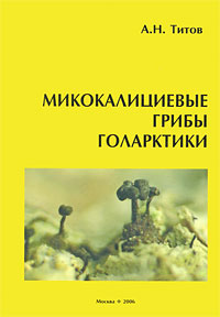 Микокалициевые грибы (порядок Mycocaliciales) Голарктики