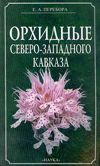 Е. А. Перебора - «Орхидные Северо-Западного Кавказа»