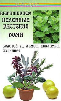 В. Д. Казьмин - «Выращиваем целебные растения дома. Золотой ус, лимон, цикламен, эхинацея»