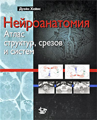 Д. Хейнс - «Нейроанатомия: атлас структур, срезов и систем»