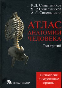 Атлас анатомии человека. В 4 томах. Том 3. Ангиология. Лимфоидные органы