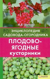 М. В. Цветкова - «Плодово-ягодные кустарники»
