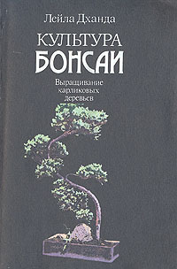 Культура бонсаи. Выращивание карликовых деревьев