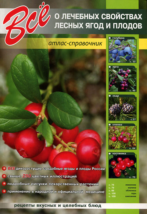 С. Ю. Афонькин - «Все о лечебных свойствах лесных ягод и плодов»