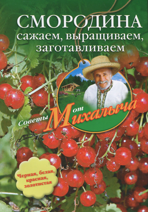 Н. М. Звонарев - «Смородина. Сажаем, выращиваем, заготавливаем»