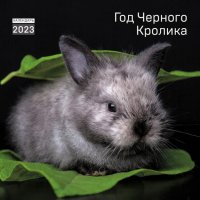 Нет автора - «Год черного кролика. Календарь настенный на 2023 год отв. ред. Е. Левашева»