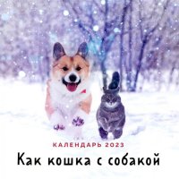 Как кошка с собакой. Календарь настенный на 2023 год отв. ред. А. Рыбина