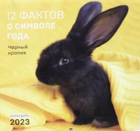 Нет автора - «12 фактов о символе года. Черный кролик. Календарь настенный на 2023 год отв. ред. Т. Сова»