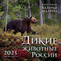 Дикие животные России. Авторские фотографии Валерия Малеева. Календарь настенный на 2023 год