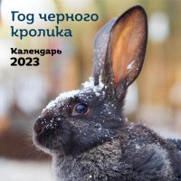 Год черного кролика. Календарь настенный на 2023 год отв. ред. Д. Хлюстова