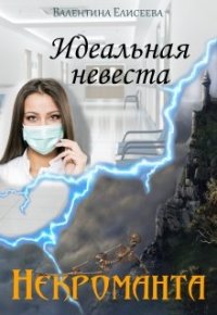 Валентина Елисеева - «Идеальная невеста некроманта»