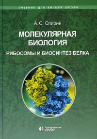 Молекулярная биология. Рибосомы и биосинтез белка. Учебное пособие. 2-е изд