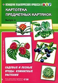Н. В. Нищева - «Картотека предметных картинок. Выпуск 6. Садовые и лесные ягоды. Комнатные растения»