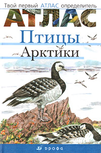 В. И. Сивоглазов, Е. В. Овсянникова - «Птицы Арктики»