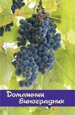 Домашний виноградник