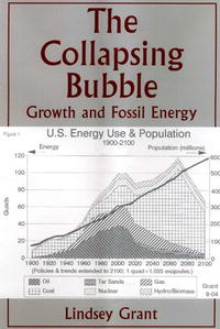 The Collapsing Bubble: Growth And Fossil Energy