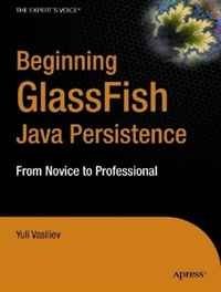 Beginning Database-Driven Application Development in Java™ EE: Using GlassFish™ (From Novice to Professional)