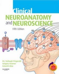 M. J. T. FitzGerald, Gregory Gruener, Estomih Mtui - «Clinical Neuroanatomy and Neuroscience: With STUDENT CONSULT Online Access»