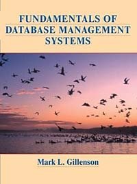 Mark L. Gillenson - «Fundamentals of Database Management Systems»